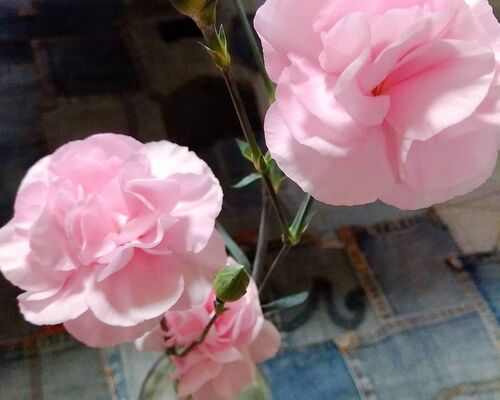 603618D8-5A8D-43A3-8FEF-4ABE8973CDAC