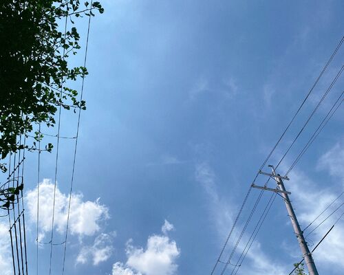 D06A7697-64D9-4093-8E3C-A92C34228C15