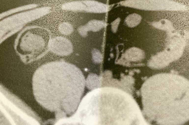 47369884-B060-4170-9CA7-84DA5E19B37A