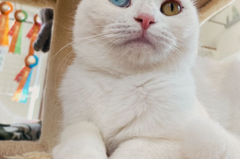 896FD6A6-9C8A-4CBB-B111-3A68FB1304AE