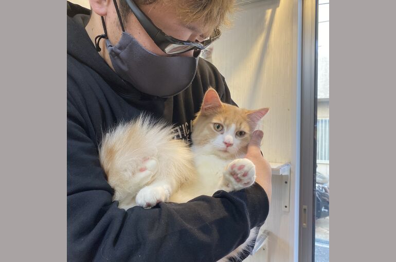 2968CFBE-97A0-4AFC-9FD5-CDA09146AF65