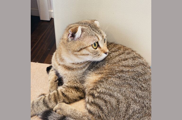 054FA058-4A19-4E1A-9F38-1042D3F3555E