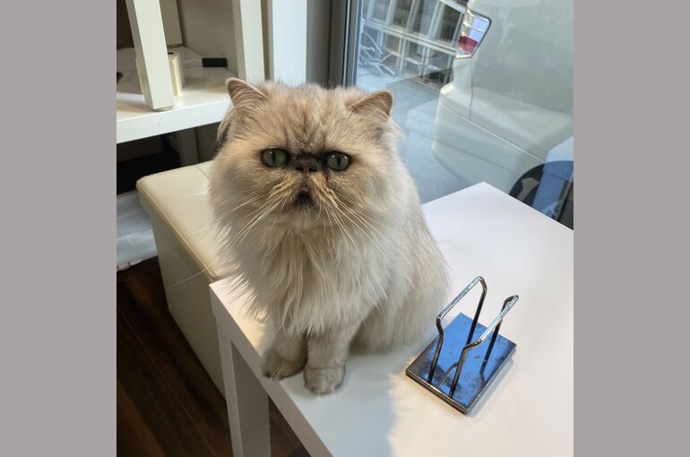 359B63D0-F909-4471-9C11-24B903BDE581