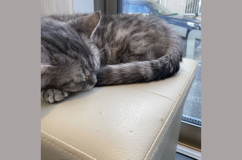 DE6BFB56-CEB6-4A3A-8890-0F80864679E7