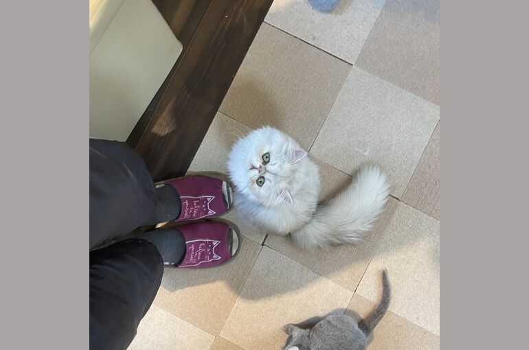 98FDAEDF-5A9D-48A0-9200-BA70DB529C14