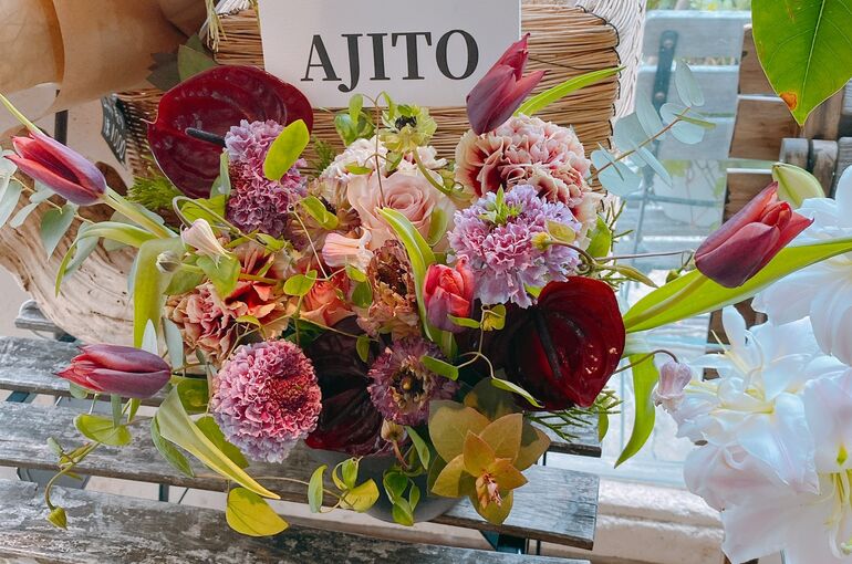 D2E4A553-6B00-4F6A-9B6D-1DBB9556B05F