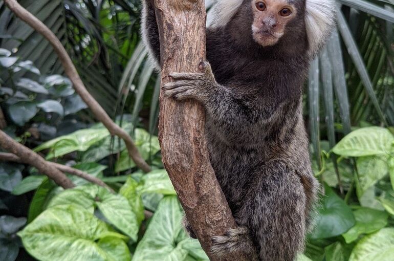 54530E55-BEA3-42C7-8824-01CBD04F1A63