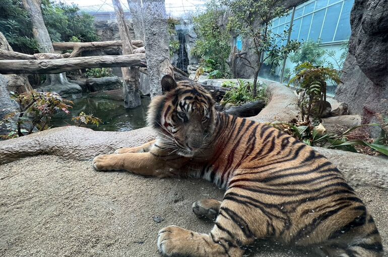 3BA68348-CF2A-45BE-8A0D-6FED895602F3