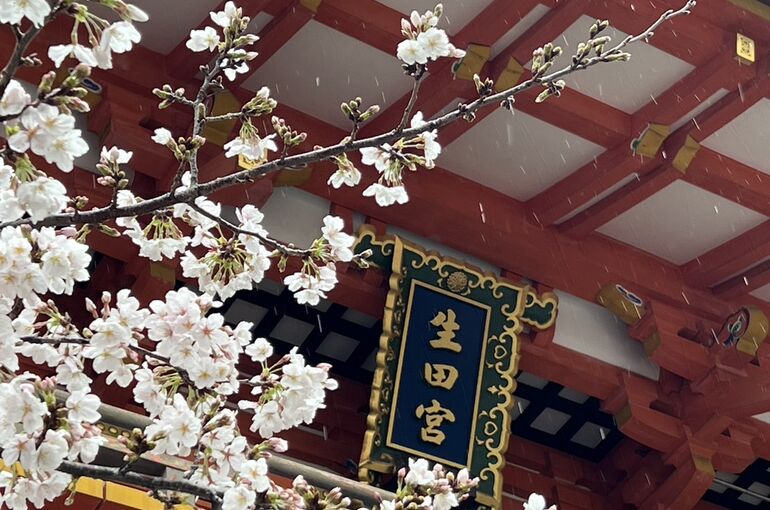 B3CEE5ED-0C38-4120-B60E-E46048E7F3DA