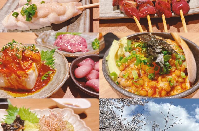 86F04092-A269-47CE-AAC9-F870AEFC36C7