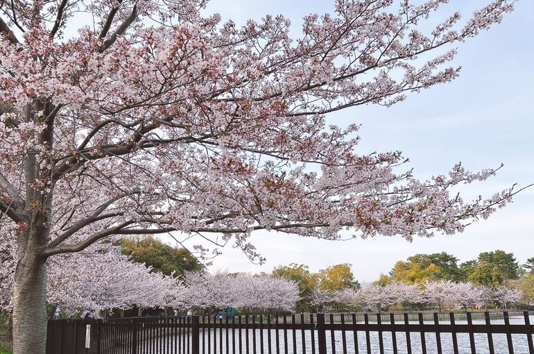 3EC03EAD-74CD-49A2-8292-97A6BE15B3E7