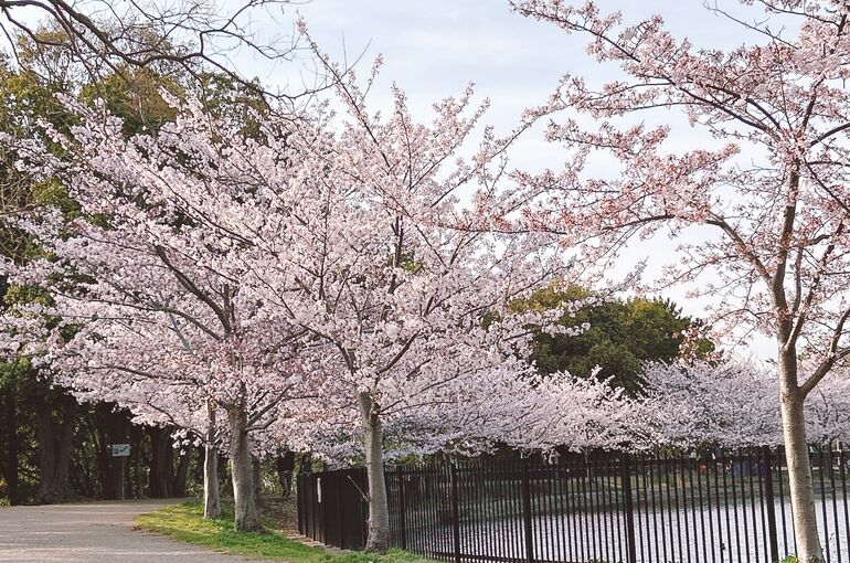 3B2ACA35-CAEB-462C-BB1C-3EFFA6B8C49F