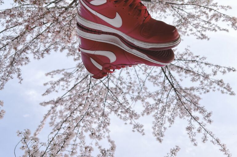 2DA02D62-D007-422A-B4BF-0841922A8261