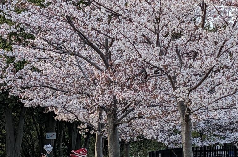 3798A843-F816-49D0-858C-C775100D0F80