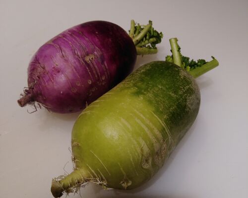 野菜