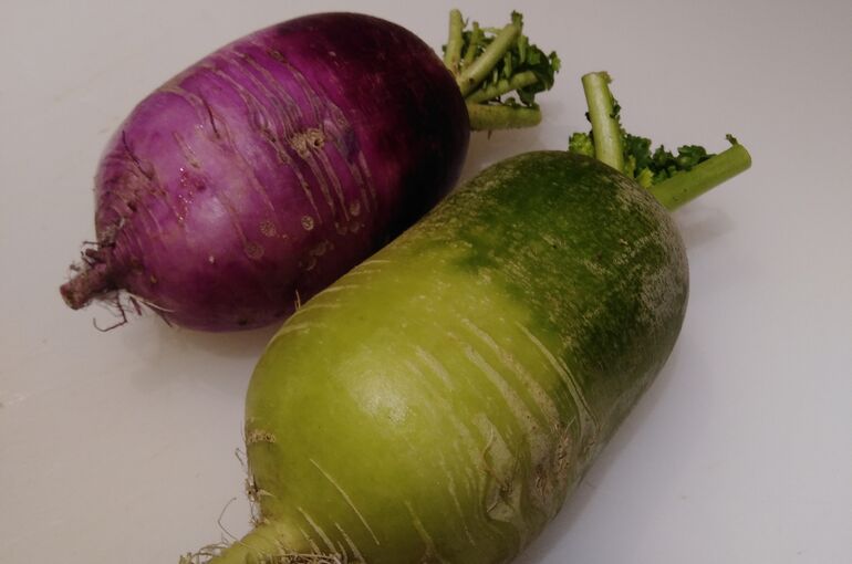 野菜